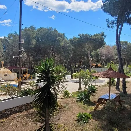 Apartment Casa Caledonia - Dans Avec Jardin Arbore Et Piscine A 500 M De La *